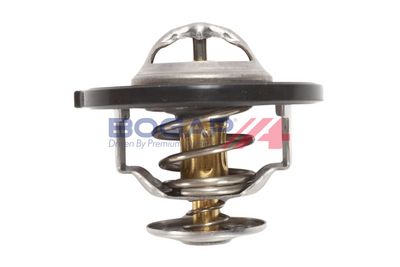 TERMOSTAT LICHID RACIRE BOGAP Y4234109 4