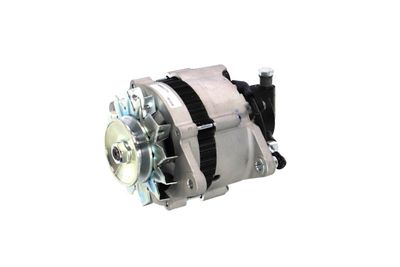 GENERATOR / ALTERNATOR REMANTE 011003000200R 6