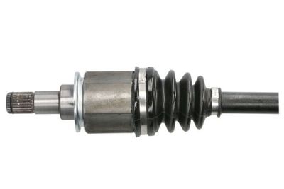 Planetara PASCAL G2B003PC