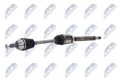 PLANETARA NTY NPWFR080 21