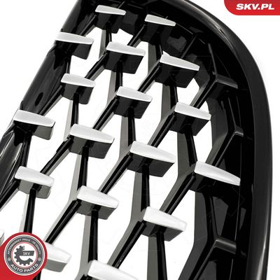 GRILA RADIATOR ESEN SKV 66SKV094 7