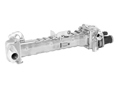 MODUL-EGR BorgWarner 749008D0 1