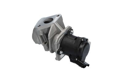 SUPAPA EGR Kavo Parts EEG9004 18