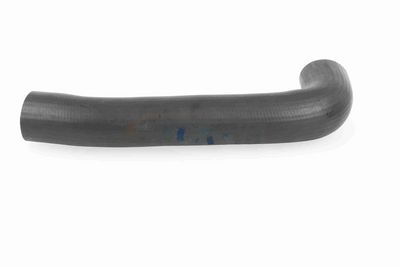 FURTUN EAR SUPRAALIMENTARE ACKOJA A379602 5