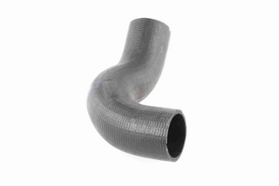 FURTUN EAR SUPRAALIMENTARE ACKOJA A380298 7