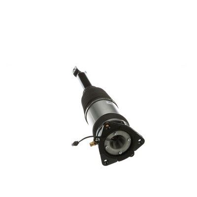 LUFTFEDERBEIN Arnott AS2968 45