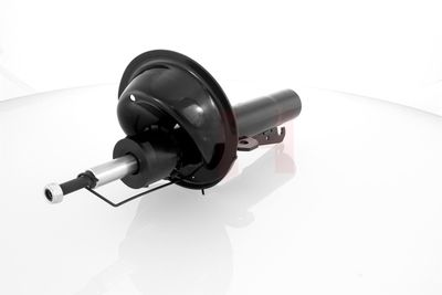 AMORTIZOR GH GH352561 10