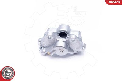 Brake Caliper 34SKV903