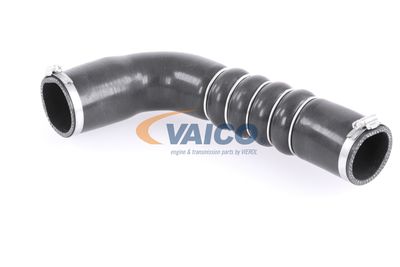 FURTUN EAR SUPRAALIMENTARE VAICO V103794 17
