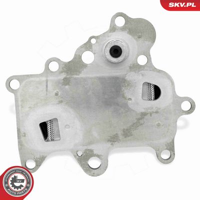 RADIATOR ULEI ULEI MOTOR ESEN SKV 31SKV351 3
