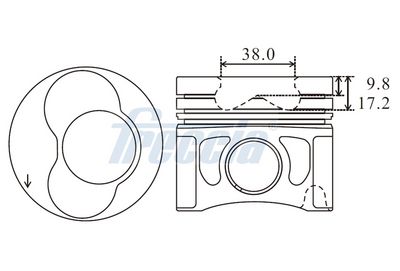 PISTON FRECCIA FP23110500