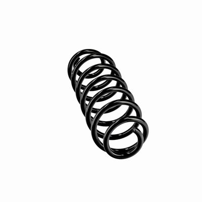 ARC SPIRAL EIBACH R10795 12
