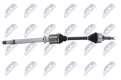 PLANETARA NTY NPWFR076 6