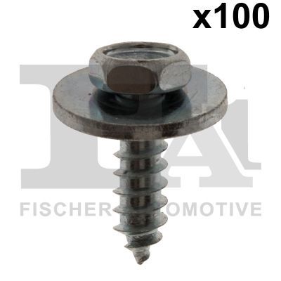 Šroub FA1 10-70001.100