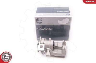 Brake Caliper 34SKV603