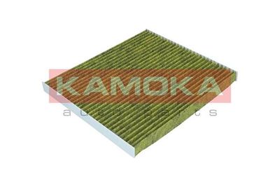 Filter, cabin air 6080086