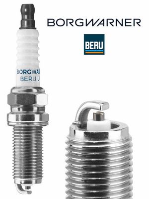 BUJII BorgWarner (BERU) Z183 1