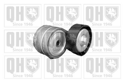 Napinacz, pasek klinowy wielorowkowy QUINTON HAZELL QTA1160