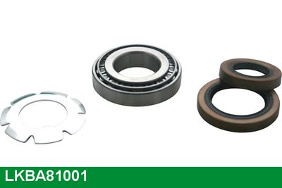 RADLAGERSATZ LUCAS LKBA81001