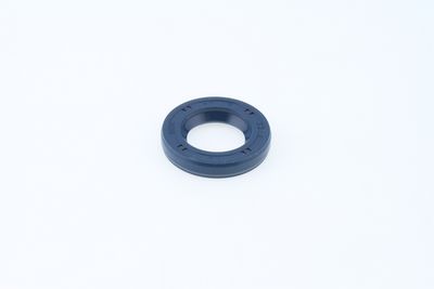 Dichtring