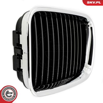 GRILA RADIATOR ESEN SKV 66SKV045 4