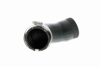 FURTUN EAR SUPRAALIMENTARE