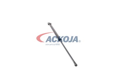 AMORTIZOR PORTBAGAJ ACKOJA A320091 23