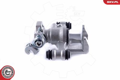 Brake Caliper 55SKV073