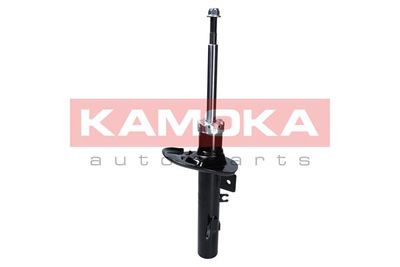 Shock Absorber 2000143