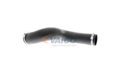 LADELUFTSCHLAUCH VAICO V103832 11