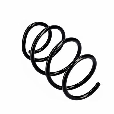 ARC SPIRAL EIBACH R10721 11