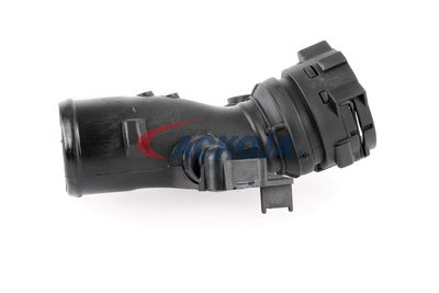 FURTUN EAR SUPRAALIMENTARE ACKOJA A380296 34