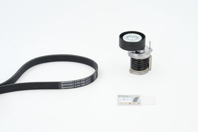 CONTINENTAL CTAM Keilrippenriemensatz