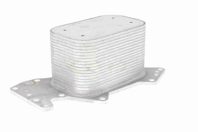 RADIATOR ULEI ULEI MOTOR VEMO V15606069 8