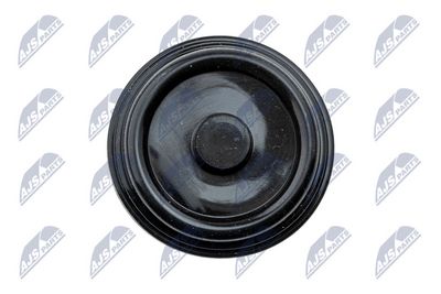 CAPAC CULBUTOR NTY BPZVW000A 2