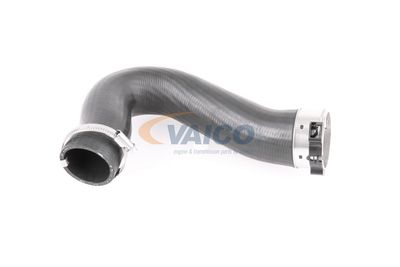 LADELUFTSCHLAUCH VAICO V103782 12