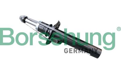 Amortyzator BORSEHUNG B14722
