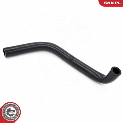 Žarna, karterio alsuoklis