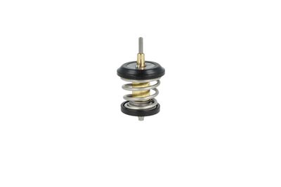 TERMOSTAT LICHID RACIRE NRF 725250 43