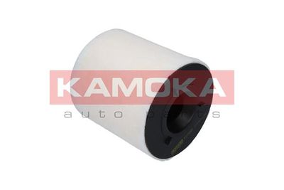 Air Filter F215301