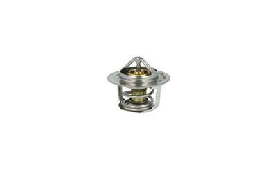 TERMOSTAT LICHID RACIRE NRF 725097 10