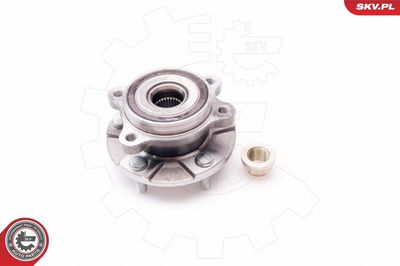 Wheel Bearing Kit 29SKV042