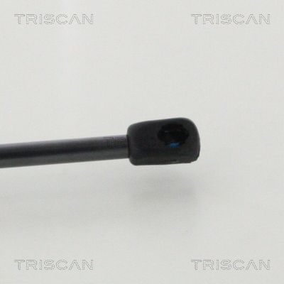 AMORTIZOR PORTBAGAJ TRISCAN 871016276 1