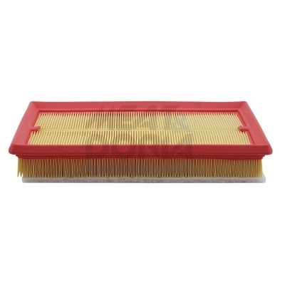 MEAT & DORIA Oro filtras