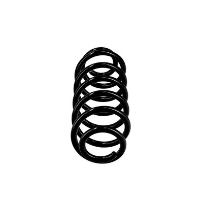 ARC SPIRAL EIBACH R10141 13
