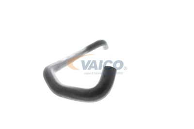 KüHLERSCHLAUCH VAICO V302967 48