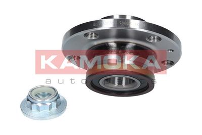 Wheel Bearing Kit 5500023