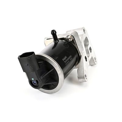 SUPAPA EGR DELPHI EG1041612B1 21