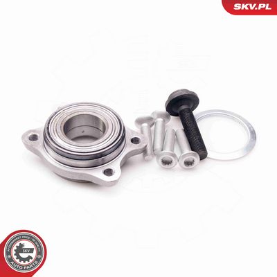 SET RULMENT ROATA ESEN SKV 29SKV029 1