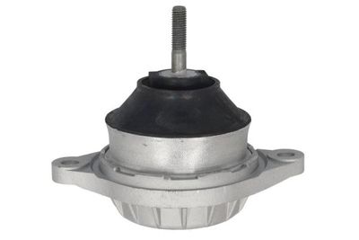 окачване, двигател REINHOCH RH11-0184